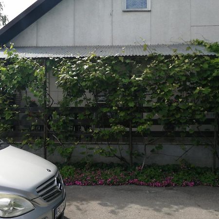 Apartman Sunce Ogulin Esterno foto