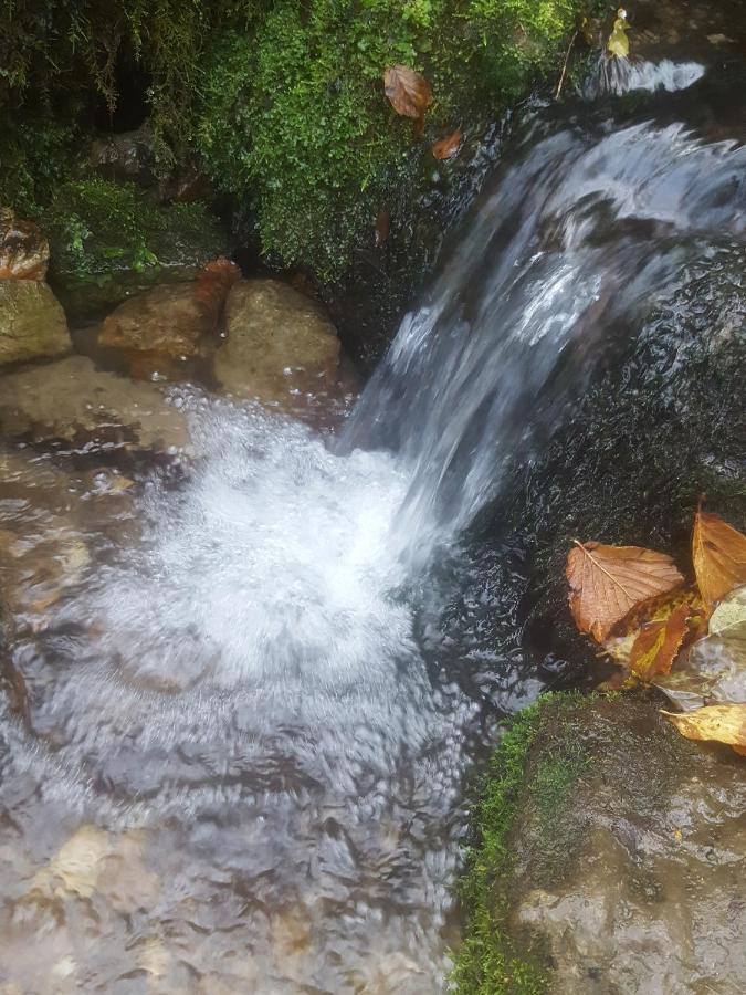 Apartman Sunce Ogulin Esterno foto